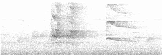 Indienhornvogel - ML195518381