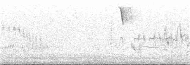 Eastern Orphean Warbler - ML195525181