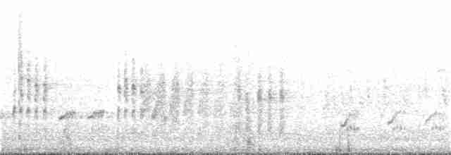 Eastern Orphean Warbler - ML195526561