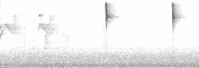 mustasjekjerrspurv (meridae) - ML195541