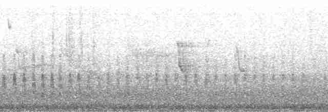 Красногрудый зимородок (torquata/stictipennis) - ML195587