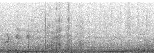 holub pruhoocasý [skupina albilinea] - ML195589