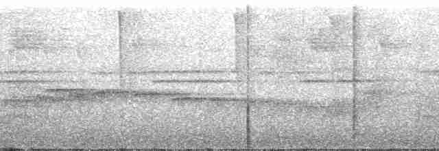 gråvingetrompetfugl (crepitans) - ML195618