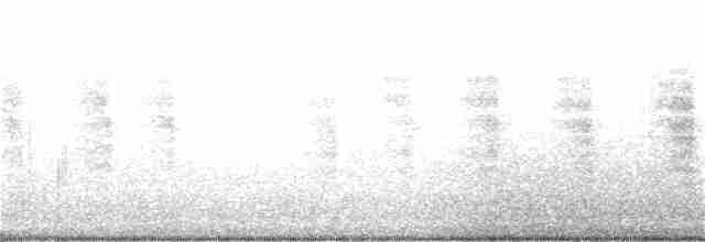 Каролинский крапивник - ML195622041