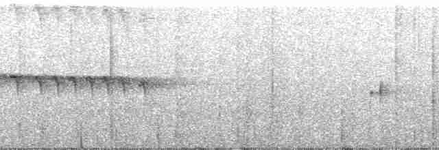 Roraima Karıncakuşu - ML195658