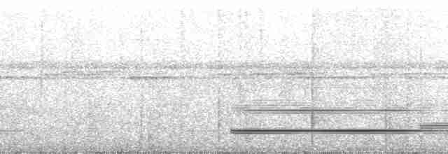 Гвианский скальный петушок - ML195661