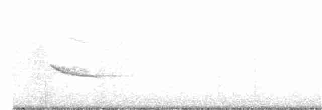 Münzevi Bülbül Ardıcı - ML195716181