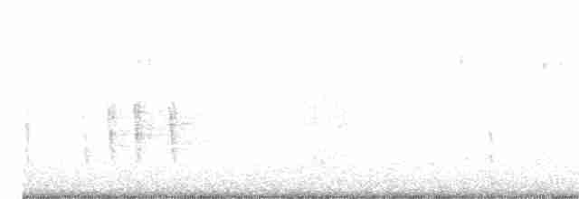 Münzevi Bülbül Ardıcı - ML195716191