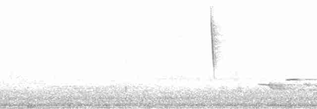 Paruline à flancs marron - ML195754