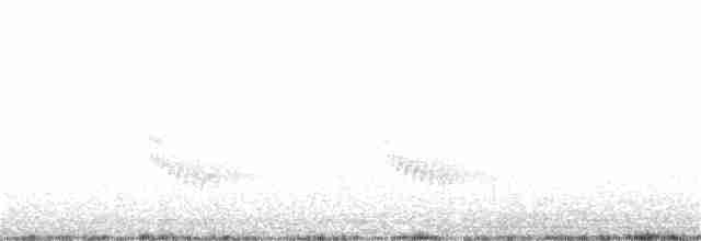 Каролинский крапивник - ML195780371