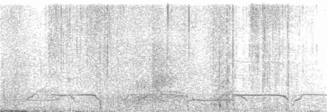 Гагара полярна - ML195782841