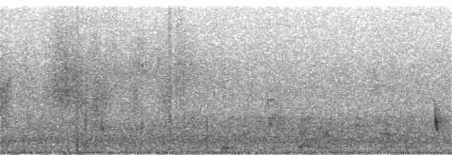 Turuncu Ardıç - ML195863331