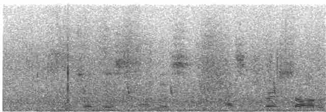 Turuncu Ardıç - ML195863391