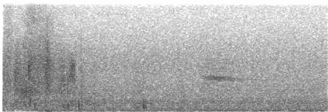 Turuncu Ardıç - ML195863401