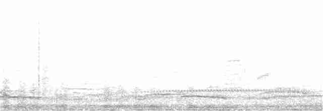Short-tailed Shearwater - ML195905781