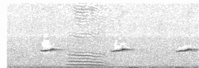 Кустарниковая кукушка (sepulcralis/everetti) - ML195937671