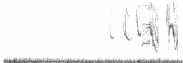 Long-tailed Meadowlark - ML195954541