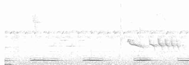 Toucan Barbet - ML196156531