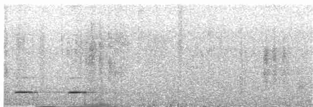 Сичик-горобець світлоголовий - ML196185361