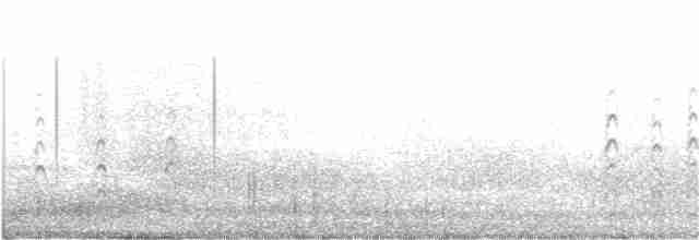 svartkronestylteløper - ML196274951