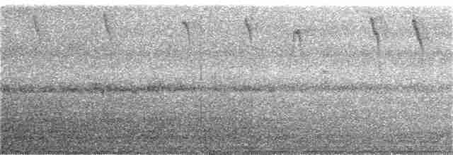 Темногрудый иглохвост - ML196304601