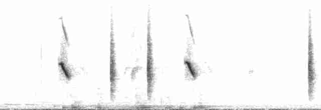 Кам’янка звичайна (підвид oenanthe/libanotica) - ML196399