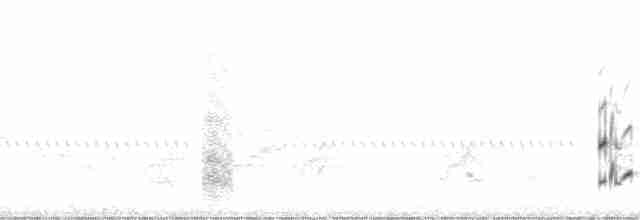 Болотный крапивник [группа palustris] - ML196478