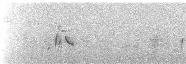stehlík obecný - ML196506921