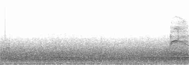 Краснохвостый канюк (harlani) - ML196556841