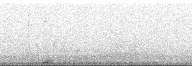 Южный гигантский буревестник - ML196619