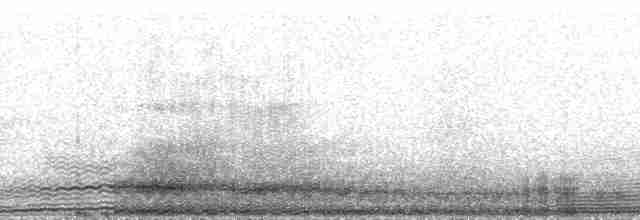 Riesensturmvogel - ML196627
