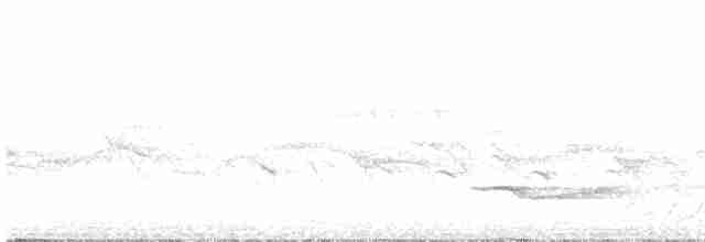 Great Eared-Nightjar - ML196656551