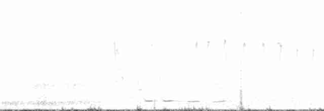 Beyaz Belli İğnekuyruk - ML196657651