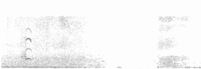 Гуска білолоба (підвид albifrons) - ML196774431