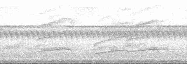 Желтогорлая пеночка - ML196826