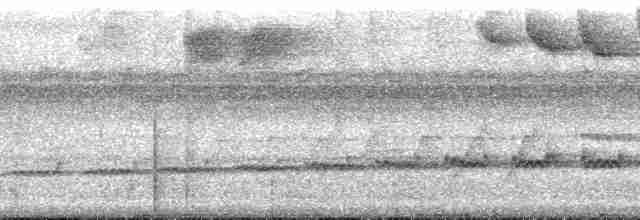 Кустарниковая кукушка (sepulcralis/everetti) - ML196846