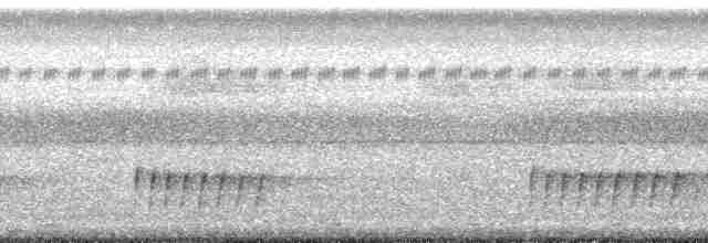 Ak Kulaklı Terzikuşu - ML196854