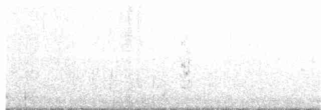 Black-naped Tern - ML196866521
