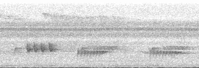 Trillerschneidervogel - ML196889