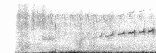 Трясохвіст темночеревий - ML196971661