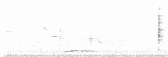 Kaiserfruchttaube - ML197053181