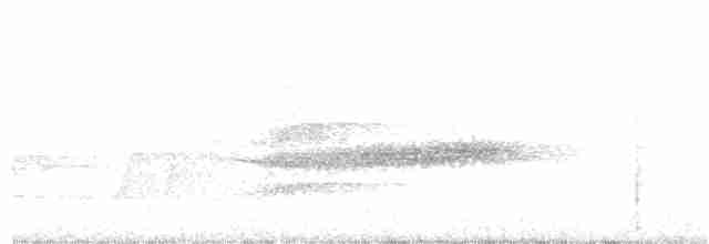 Усатый шипоклюв - ML197083721