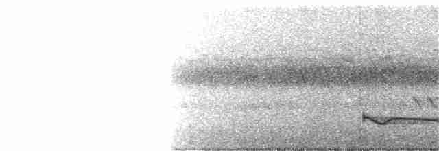 Great Eared-Nightjar - ML197118571