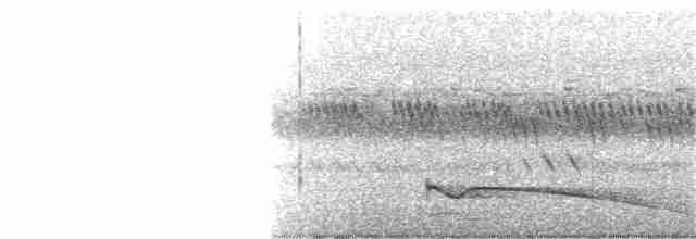 Great Eared-Nightjar - ML197118591