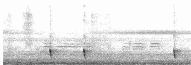 Indiennachtschwalbe - ML197125861