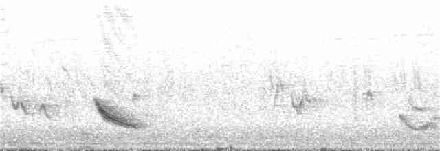 Дрізд-короткодзьоб бурий - ML197135491