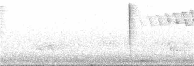 Дроздовый певун - ML197135541