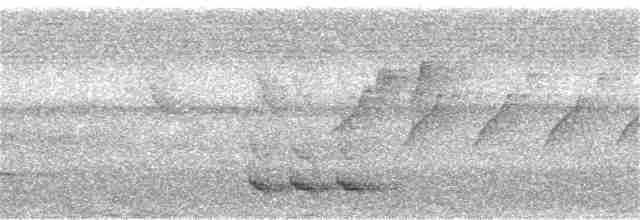 Trogón Pechinaranja (grupo dulitensis) - ML197137251