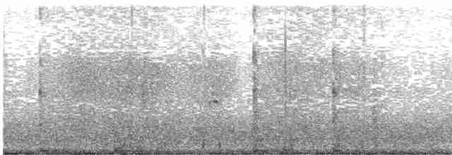 Common Merganser (Eurasian) - ML197166781