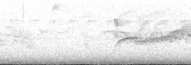 Paruline à pattes pâles - ML197219